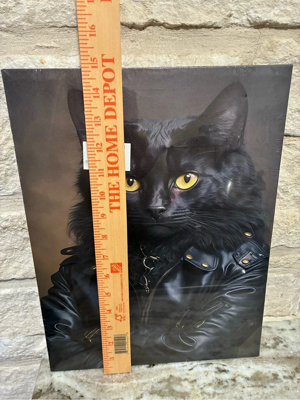 Black Cat in Biker Leather Jacket Portrait Canvas Wall Art